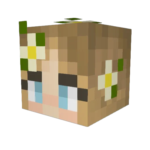 Hubbiedub Minecraft avatar head, 3D render