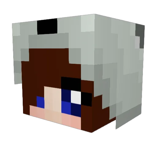 Hubert103 Minecraft avatar head, 3D render