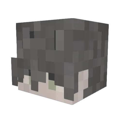 Hubschraubeer Minecraft avatar head, 3D render