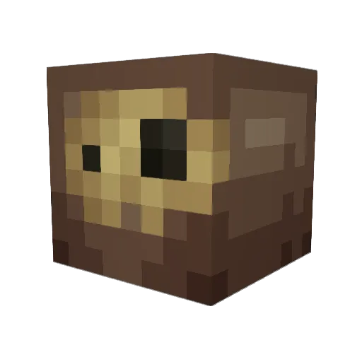 Hubtron Minecraft avatar head, 3D render