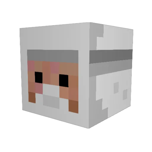 Hudelston Minecraft avatar head, 3D render