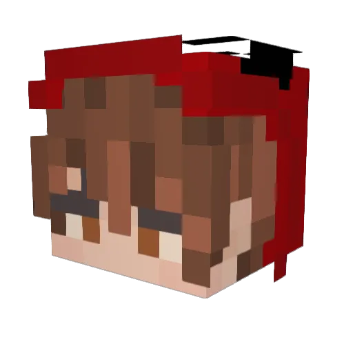Hudgamer761 Minecraft avatar head, 3D render