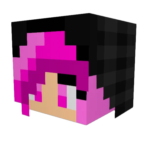 Hudsonp01 Minecraft avatar head, 3D render
