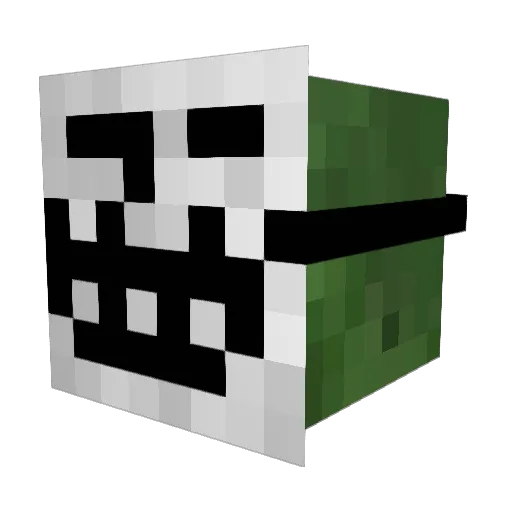 Hudsuion Minecraft avatar head, 3D render