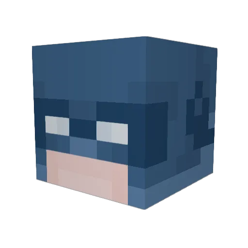 Hudyo8 Minecraft avatar head, 3D render