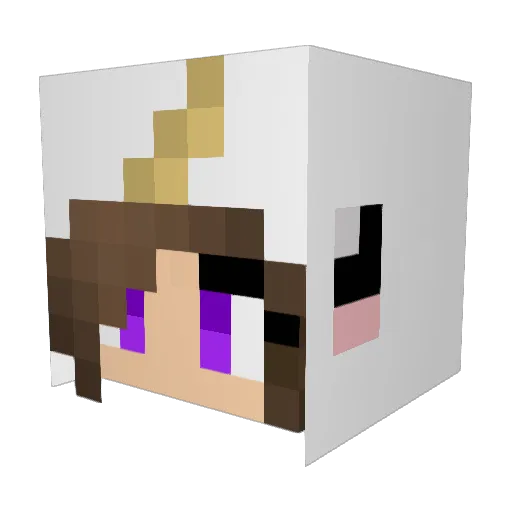 HuffyHampster Minecraft avatar head, 3D render