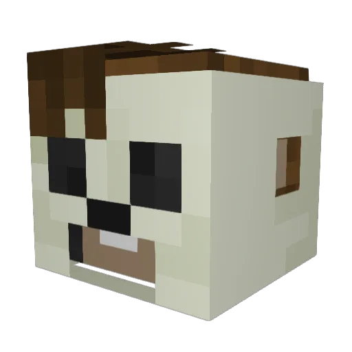 Huffy_97 Minecraft avatar head, 3D render