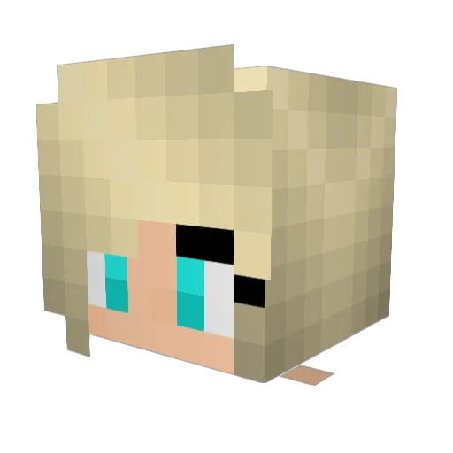 Hufi1210 Minecraft avatar head, 3D render