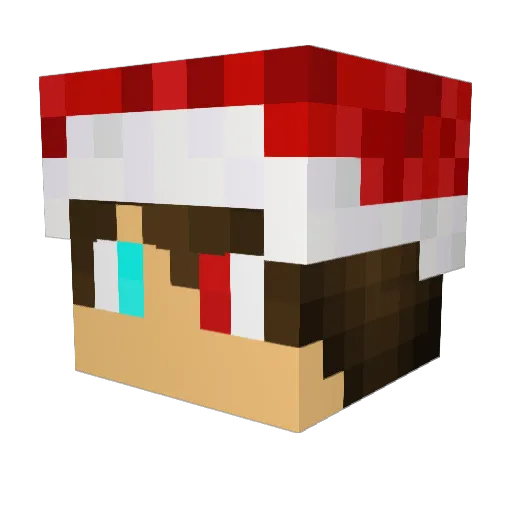 Hufi21 Minecraft avatar head, 3D render