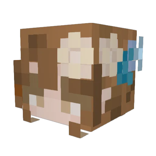 HugeCookie Minecraft avatar head, 3D render