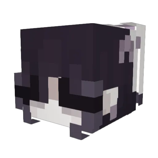 HugeRabbit12138 Minecraft avatar head, 3D render
