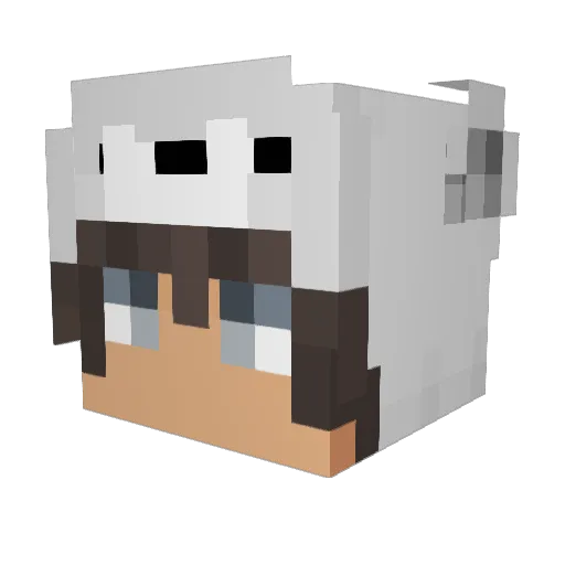 Hugetymer Minecraft avatar head, 3D render