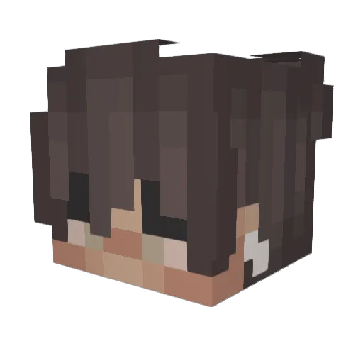 HuggableDuckling Minecraft avatar head, 3D render