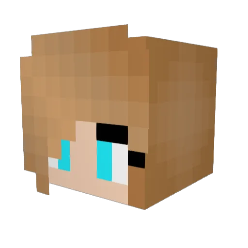 HuggoBearo Minecraft avatar head, 3D render