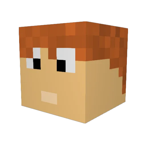 HuginMunin9 Minecraft avatar head, 3D render