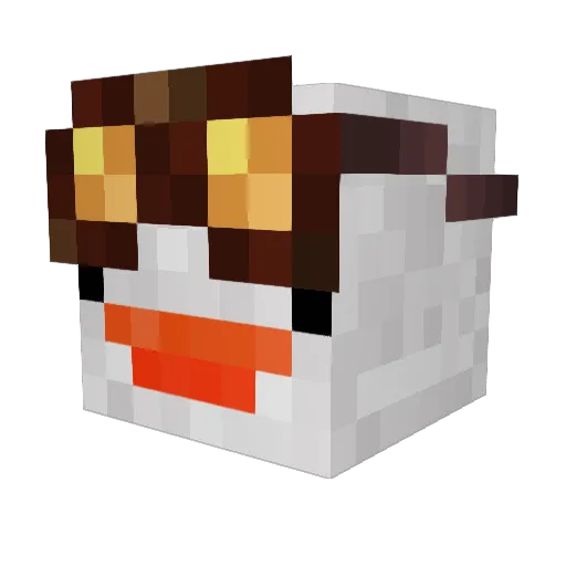 HuglyDuck_ Minecraft avatar head, 3D render