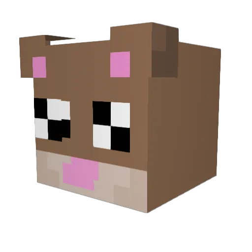 Hugo0522 Minecraft avatar head, 3D render