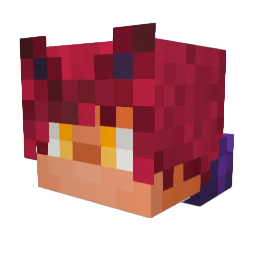 Hugo1201 Minecraft avatar head, 3D render