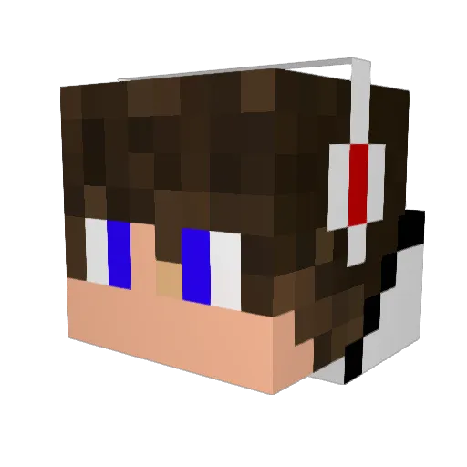 Hugo254 Minecraft avatar head, 3D render