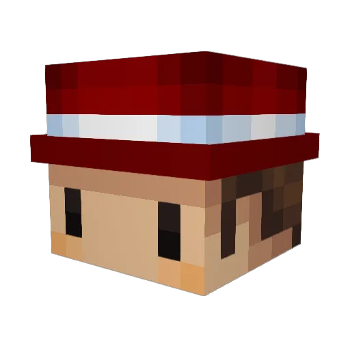 Hugoferr17 Minecraft avatar head, 3D render