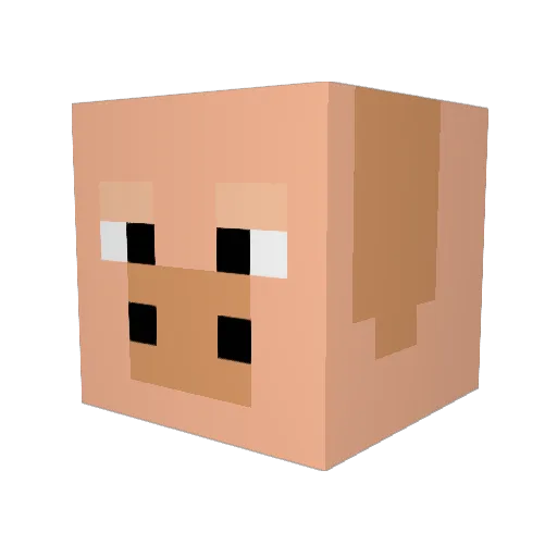 Hugofr974 Minecraft avatar head, 3D render