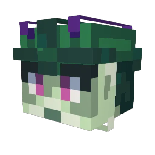 Hugolito123 Minecraft avatar head, 3D render