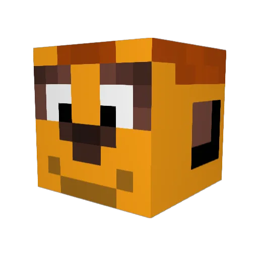 Hugoo_29 Minecraft avatar head, 3D render
