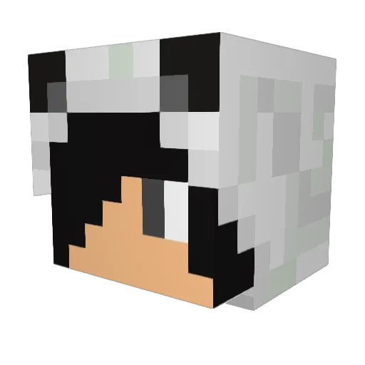 Hugoscar2 Minecraft avatar head, 3D render