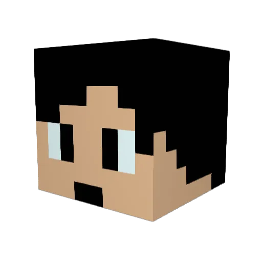 Hugzcraft_ Minecraft avatar head, 3D render