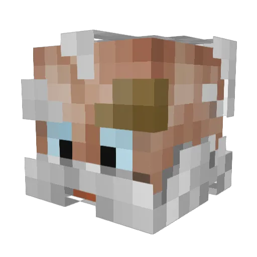HuiBuhhuhu Minecraft avatar head, 3D render