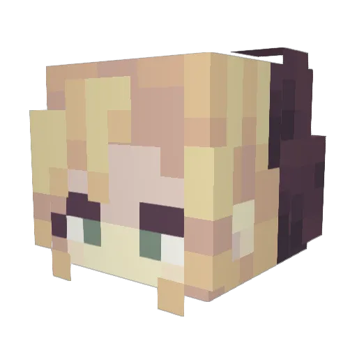 HuibjeMeijer2 Minecraft avatar head, 3D render
