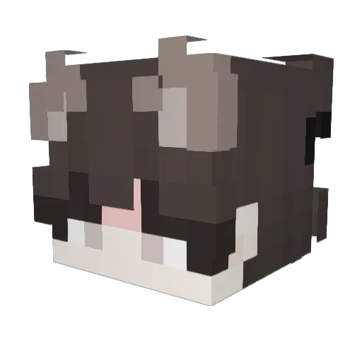 Huihao_ Minecraft avatar head, 3D render