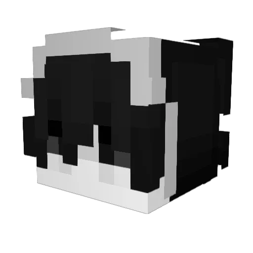 Huisos2010 Minecraft avatar head, 3D render