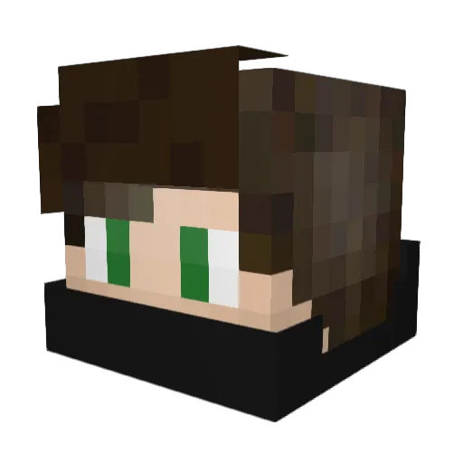 Huiswerk Minecraft avatar head, 3D render