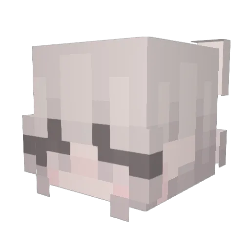 Huiyoung77 Minecraft avatar head, 3D render