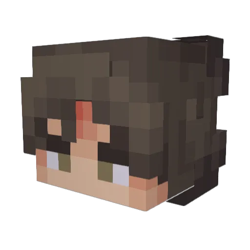 Hujufu Minecraft avatar head, 3D render