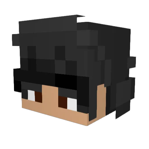 Hukfin Minecraft avatar head, 3D render