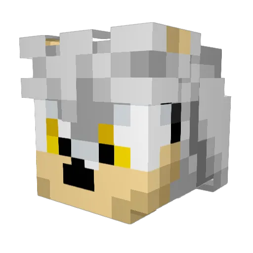 HumanLeo_2011 Minecraft avatar head, 3D render