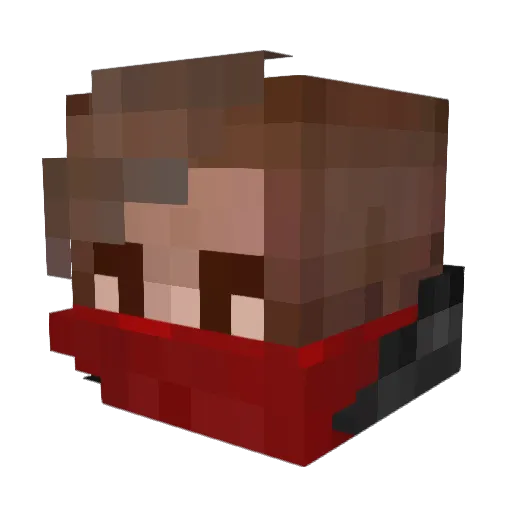 HumanRice Minecraft avatar head, 3D render
