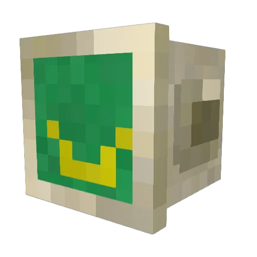 Human_Boy Minecraft avatar head, 3D render