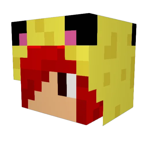 Human_world Minecraft avatar head, 3D render