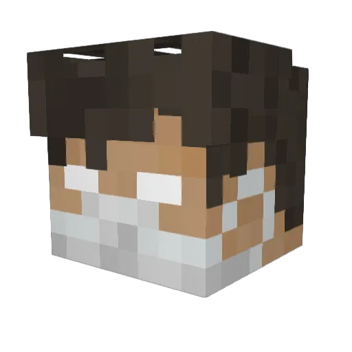 Humanfigure12 Minecraft avatar head, 3D render