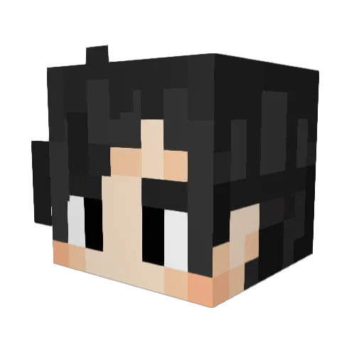 Humanmusic69v2 Minecraft avatar head, 3D render
