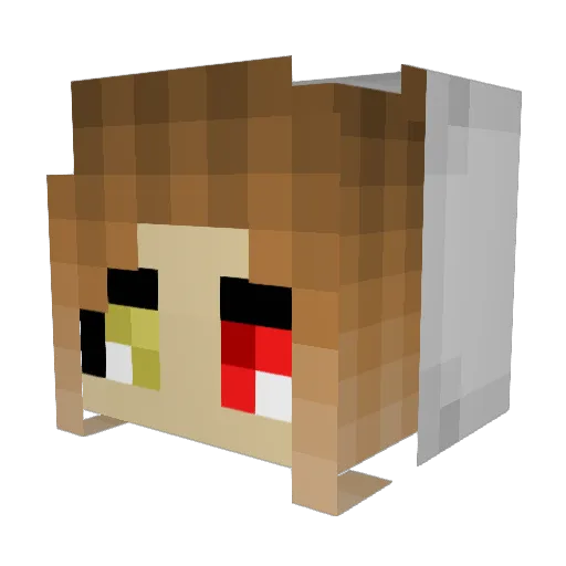HumanoidWinter Minecraft avatar head, 3D render