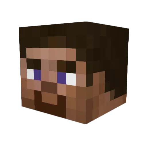 HumbleStar Minecraft avatar head, 3D render