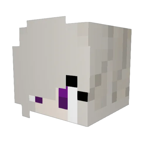Humble_Chan Minecraft avatar head, 3D render