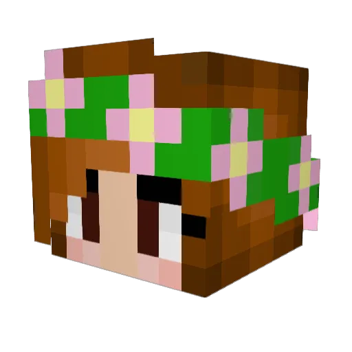 Humble_Sushi Minecraft avatar head, 3D render