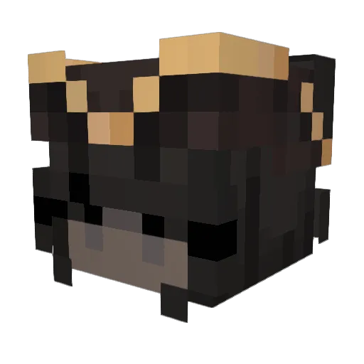 HumidPhoenix560 Minecraft avatar head, 3D render
