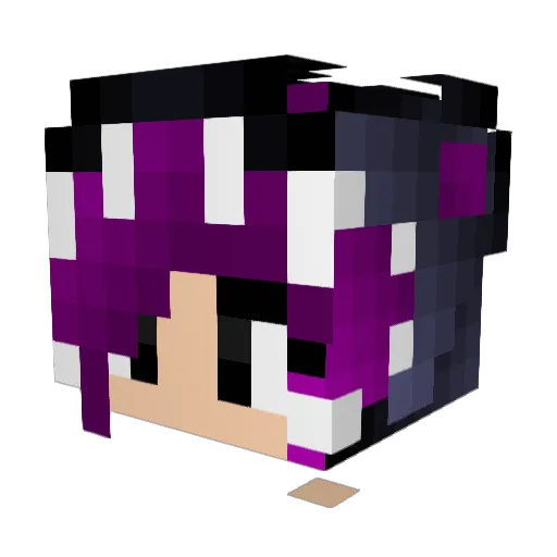 Hummel2503 Minecraft avatar head, 3D render