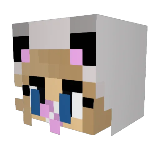 HummingBird147 Minecraft avatar head, 3D render